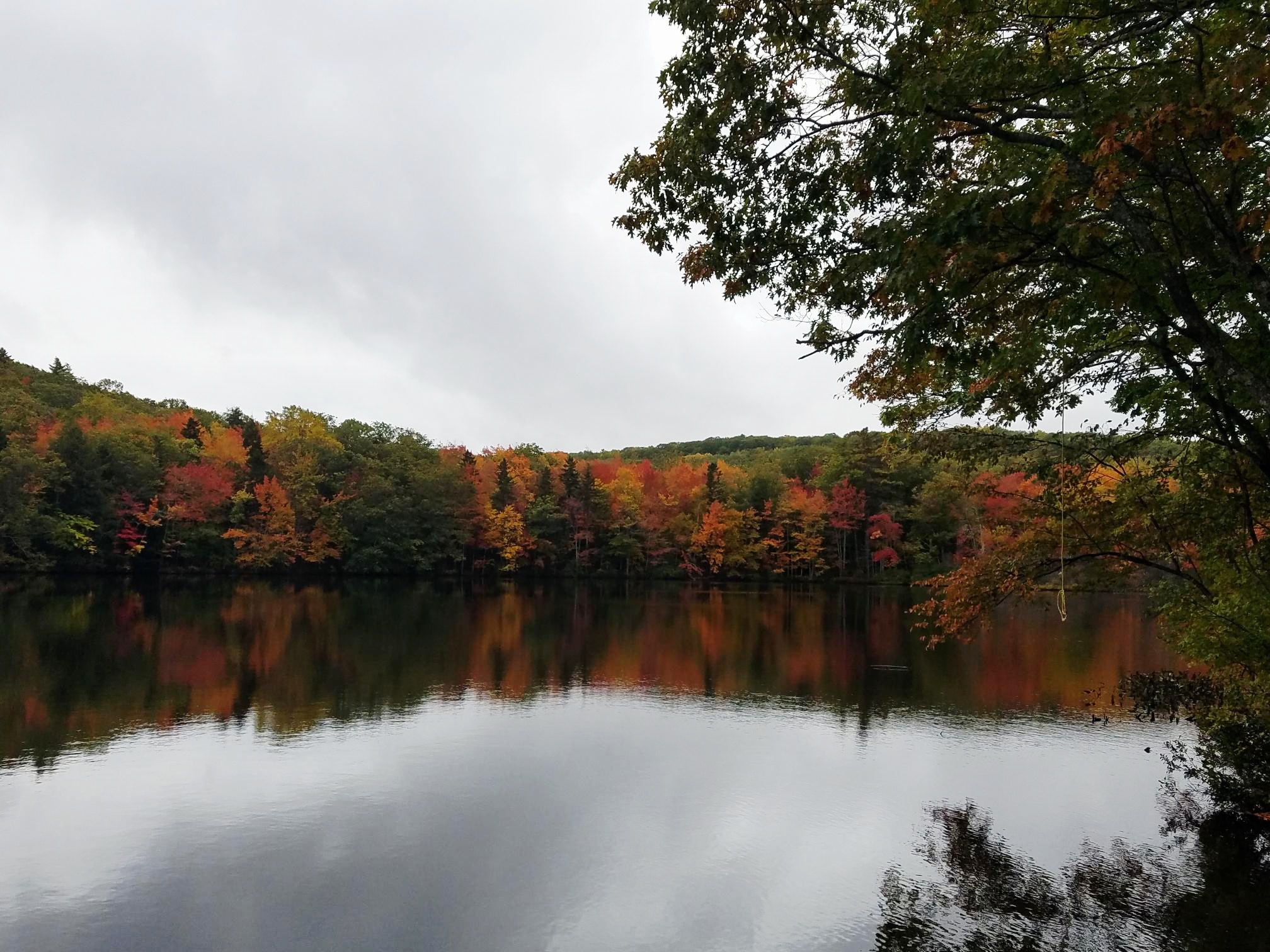 Experiencing the Beauty of Fall Foliage