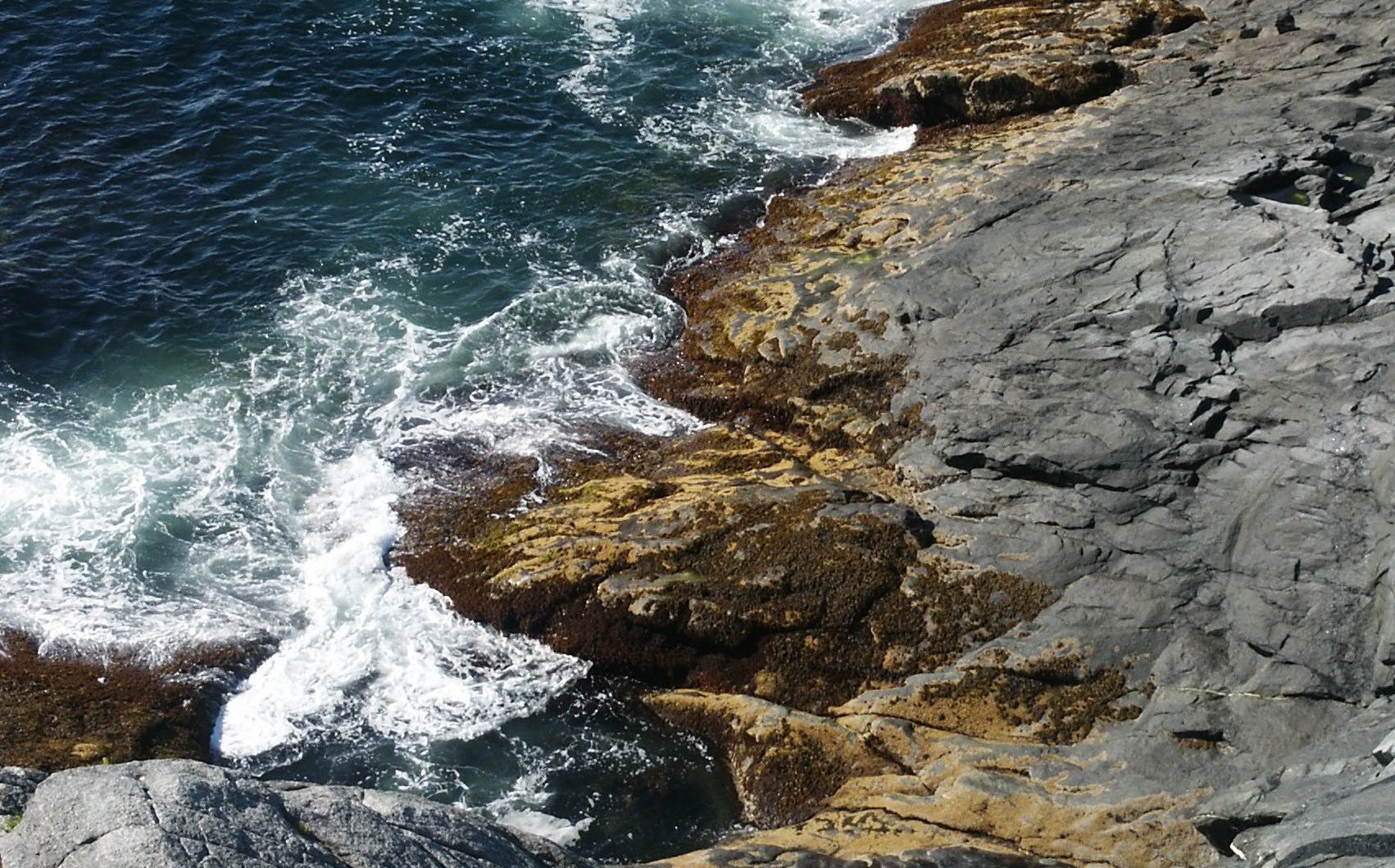 The Perfect Place to Stay Before (or After) Monhegan Island 