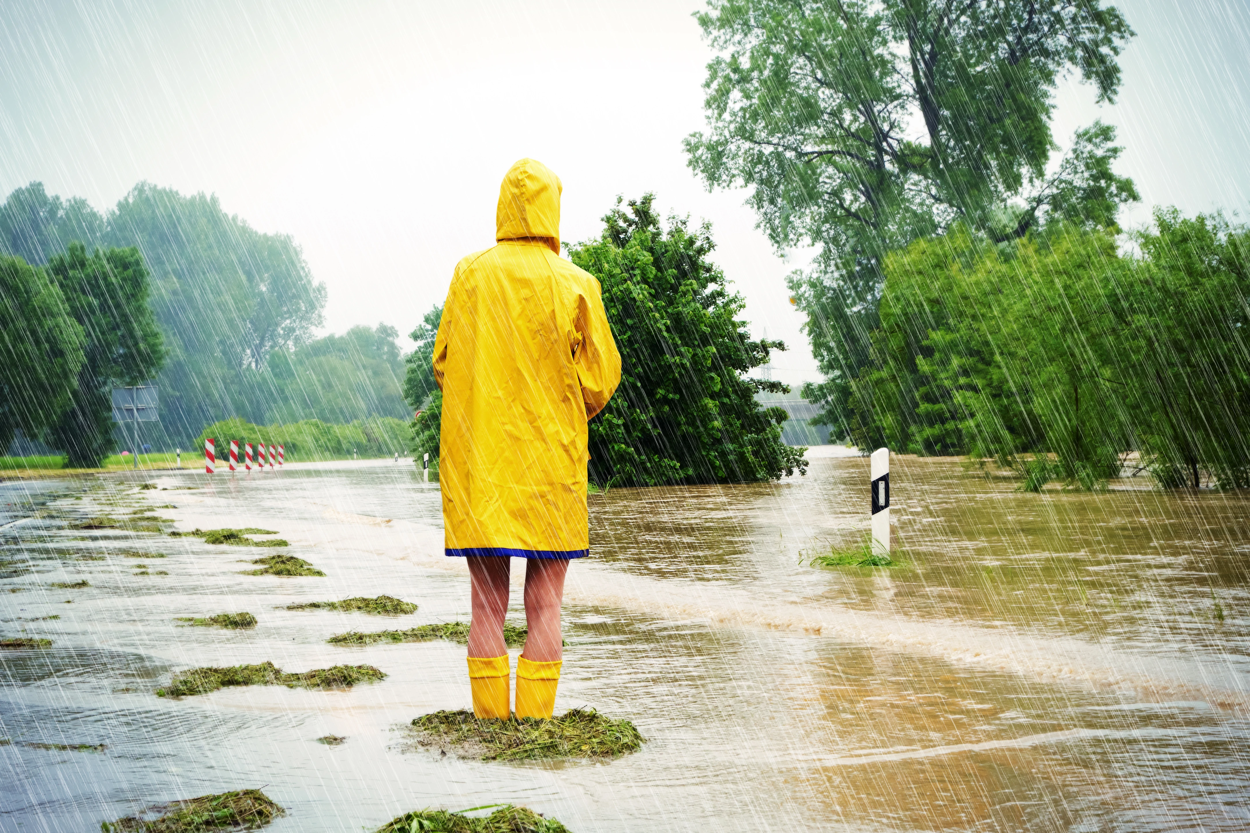 Recognizing Financial Scams During a Crisis or Disaster Image