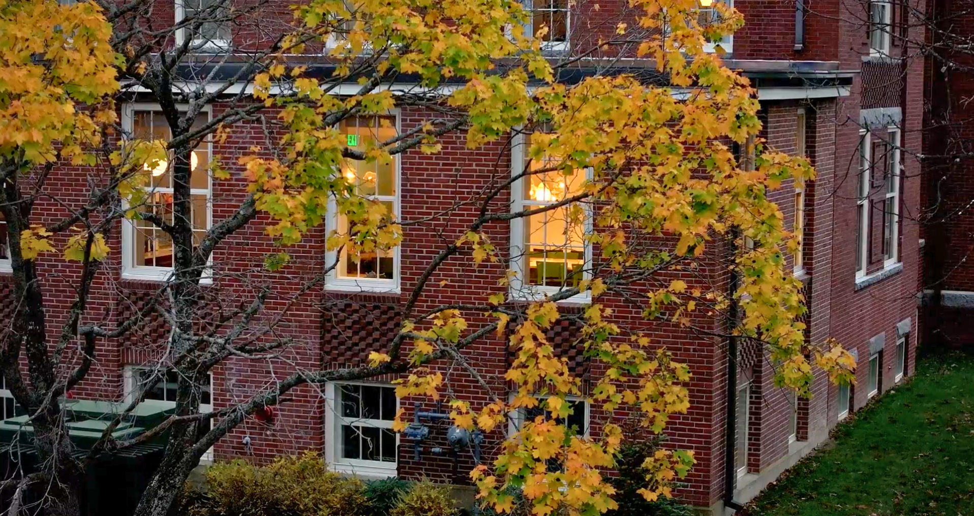 Image of Fabulous Fall