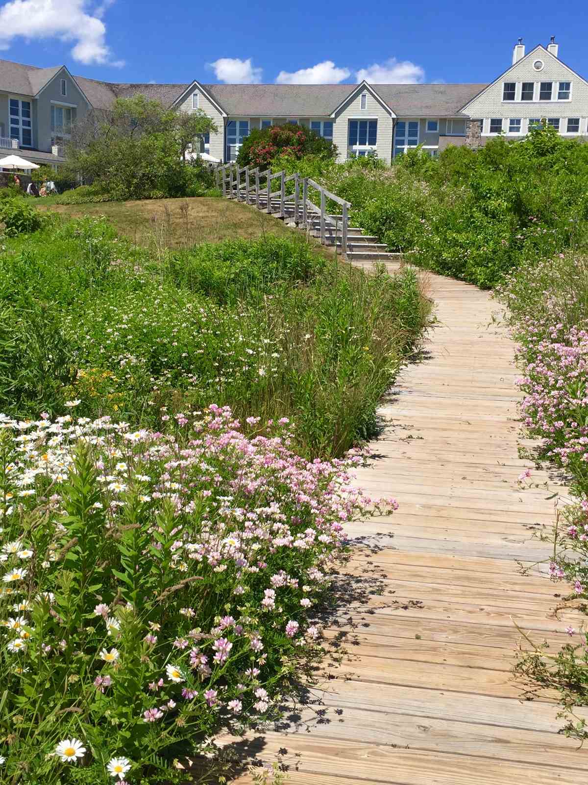 Spring Walkway at Inn by the Sea