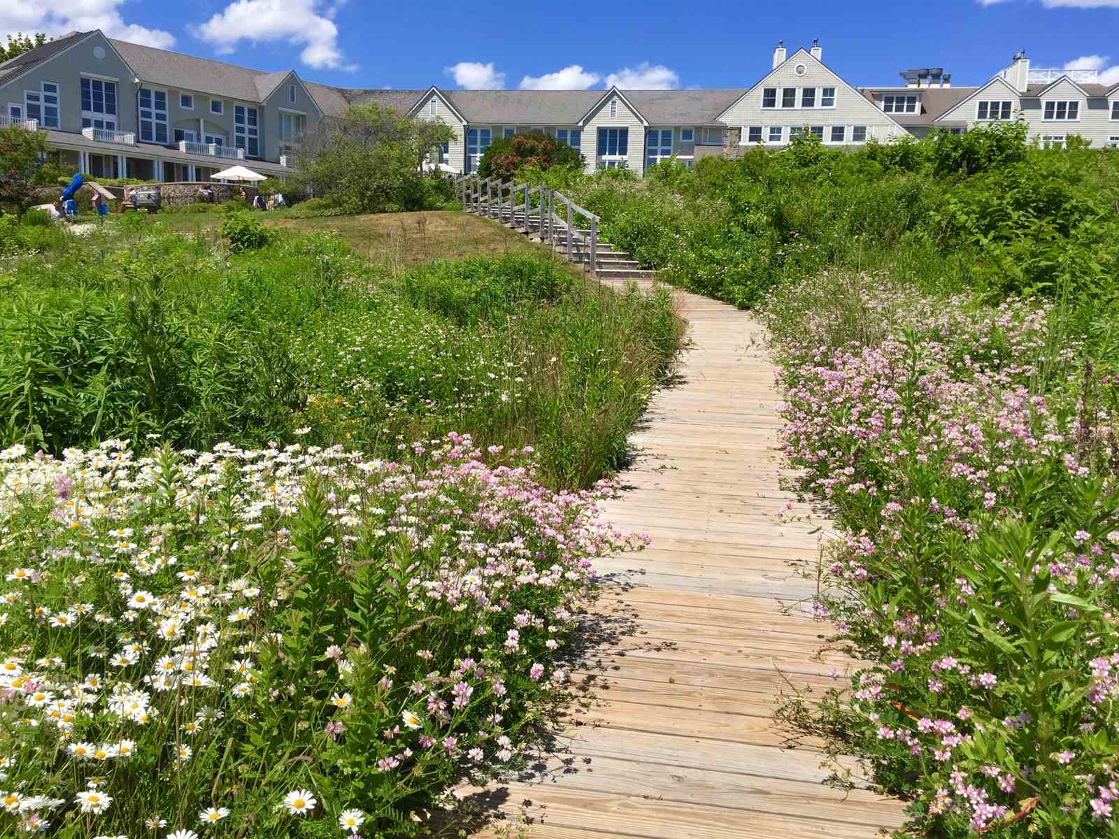 Spring Walkway at Inn by the Sea