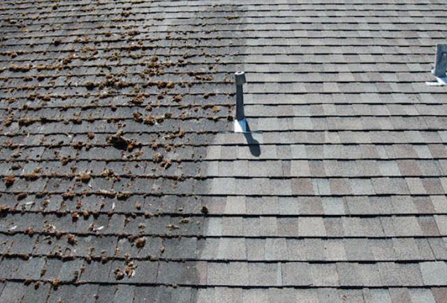 Soft Wash Roof Cleaning Service at Highland Property Services