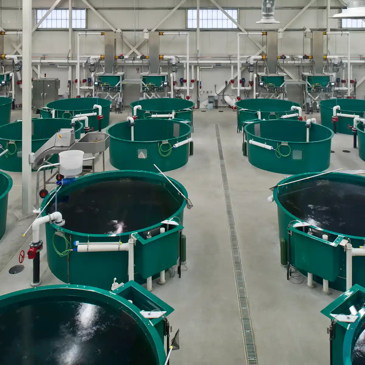 RAS Recirculating Aquaculture System Hydrotech PR Aqua hatchery